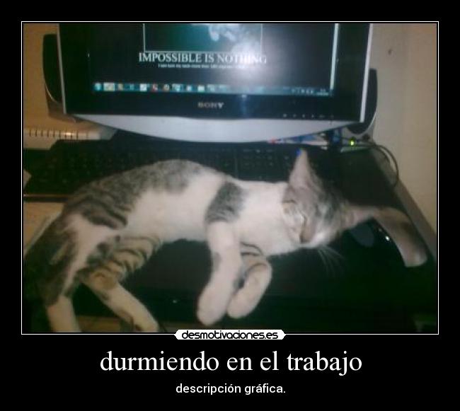 durmiendo en el trabajo -