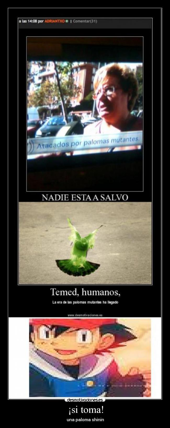¡si toma! - una paloma shinin