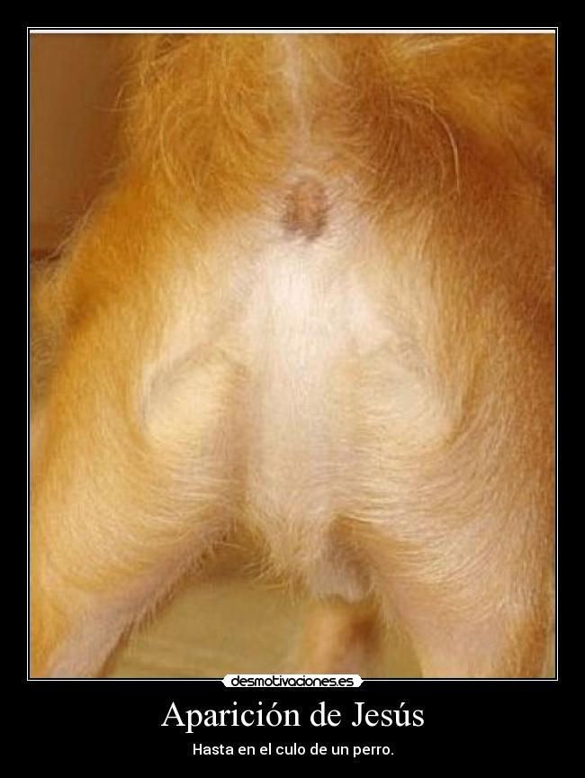 Aparición de Jesús -