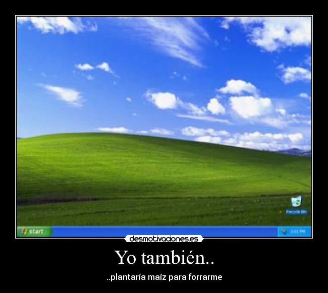 Yo también.. - ..plantaría maíz para forrarme