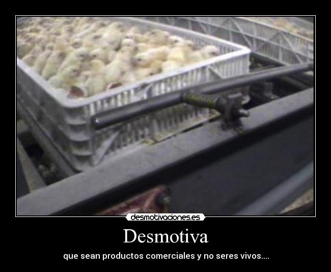 Desmotiva - que sean productos comerciales y no seres vivos....