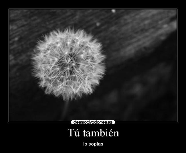 Tú también -