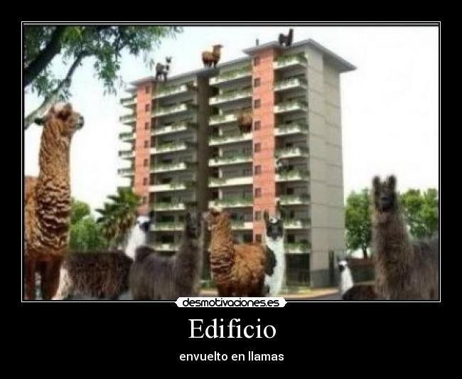 Edificio -