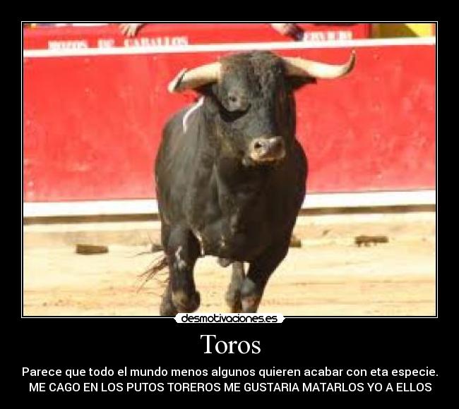 Toros - Parece que todo el mundo menos algunos quieren acabar con eta especie.
ME CAGO EN LOS PUTOS TOREROS ME GUSTARIA MATARLOS YO A ELLOS