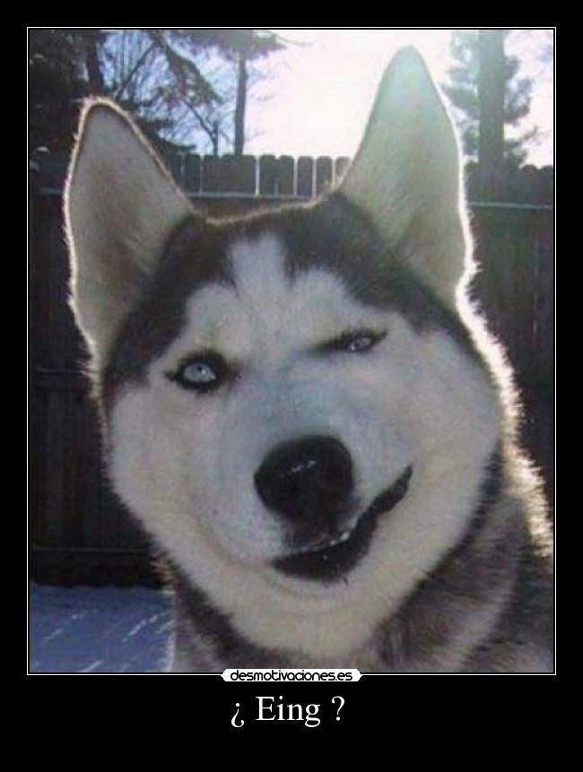 ¿ Eing ? -