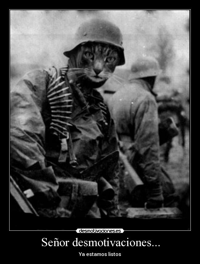 Señor desmotivaciones... - 