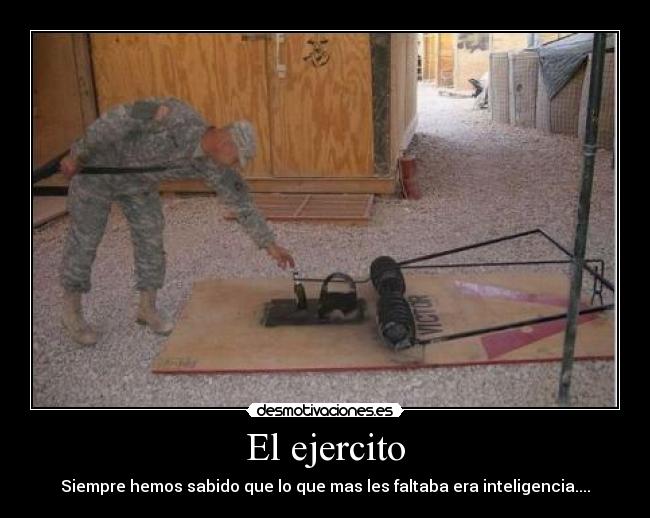 El ejercito - Siempre hemos sabido que lo que mas les faltaba era inteligencia....