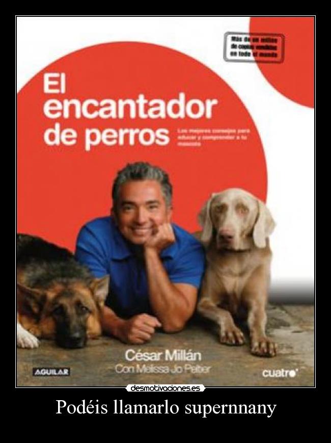 carteles encantador perros desmotivaciones