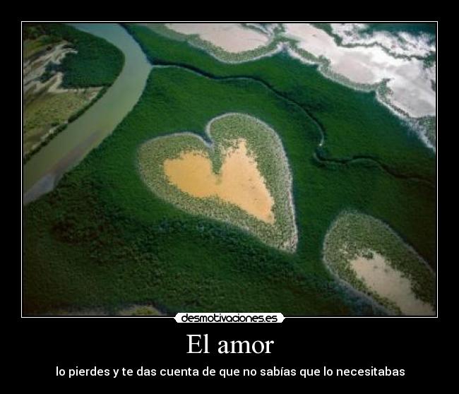 El amor - lo pierdes y te das cuenta de que no sabías que lo necesitabas