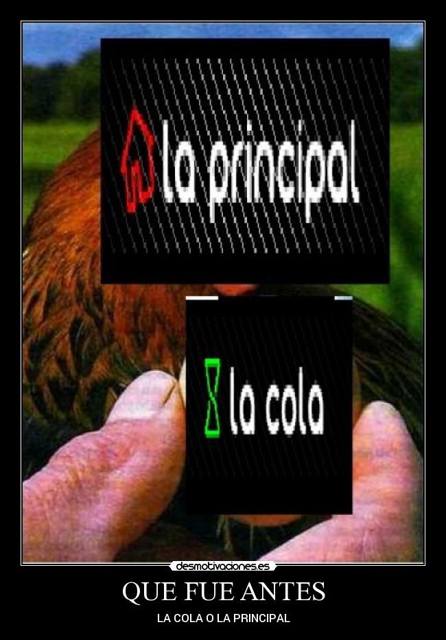 QUE FUE ANTES - LA COLA O LA PRINCIPAL