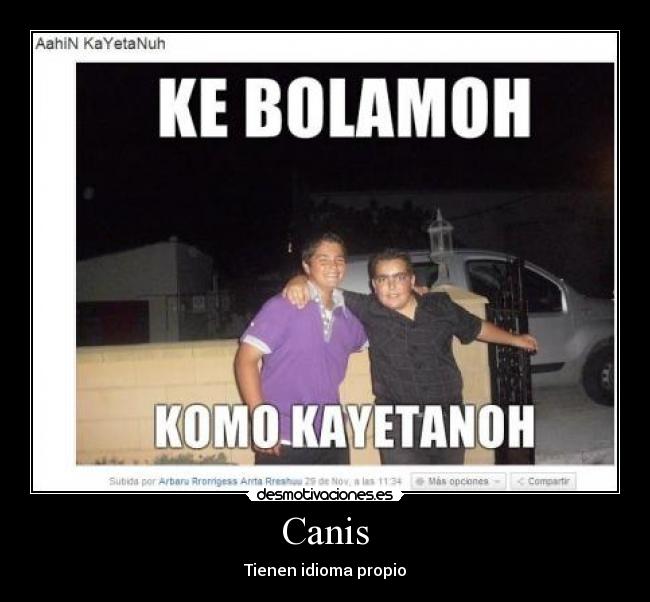 carteles canis tienen idioma propio tuenti desmotivaciones