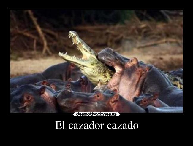 El cazador cazado -