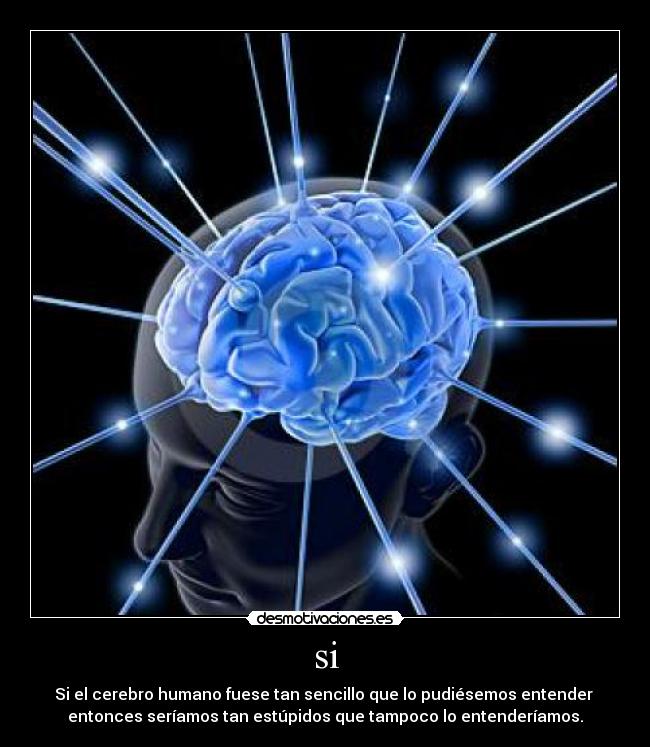 si - Si el cerebro humano fuese tan sencillo que lo pudiésemos entender 
entonces seríamos tan estúpidos que tampoco lo entenderíamos.