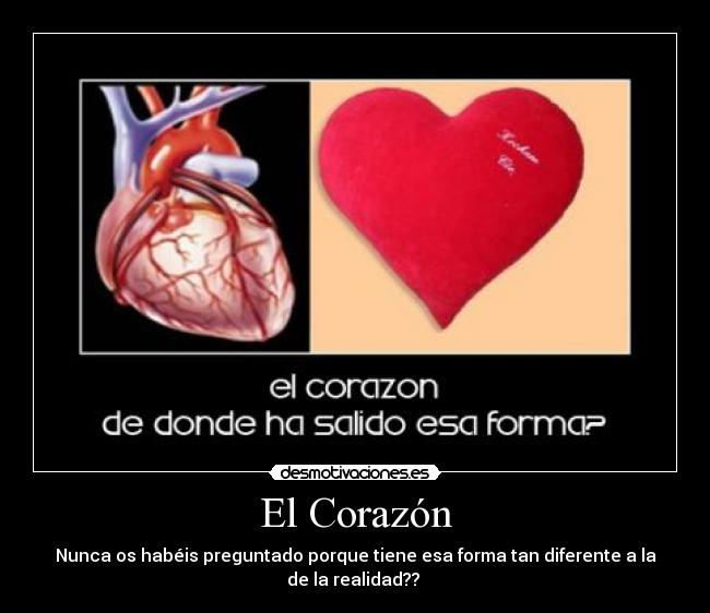 El Corazón -