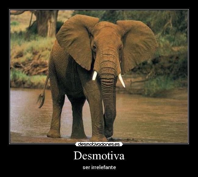 Desmotiva - 