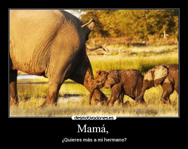 Mamá, -