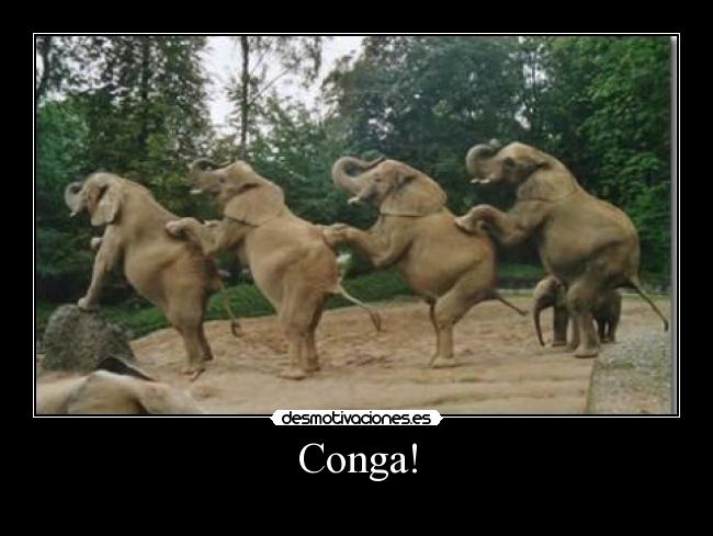 Conga! -  