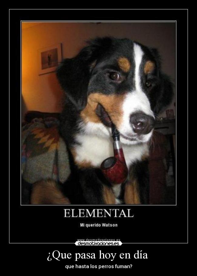 ¿Que pasa hoy en día - que hasta los perros fuman?