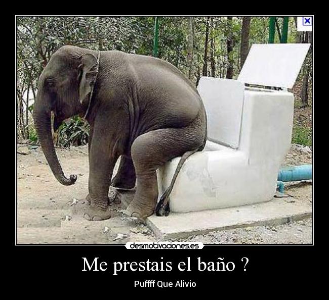 Me prestais el baño ? - Puffff Que Alivio