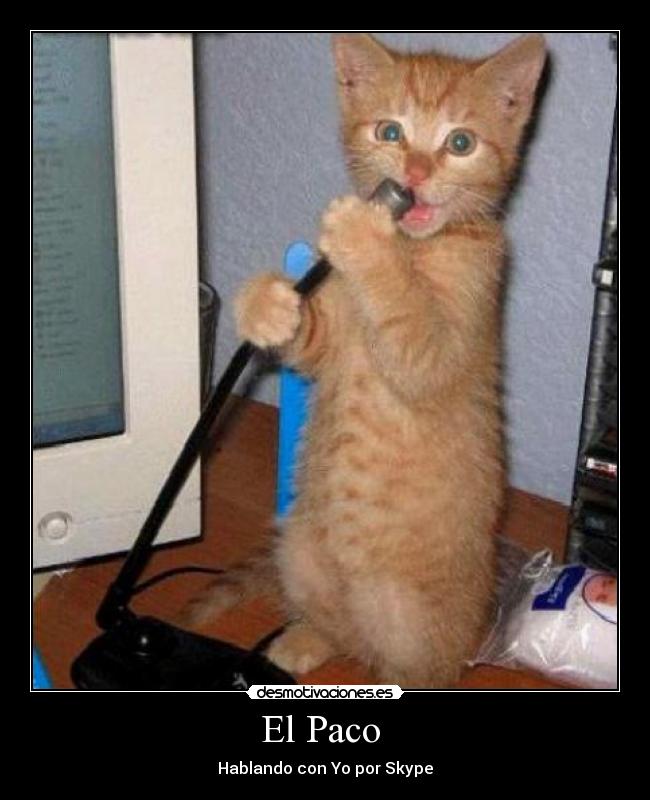 El Paco - Hablando con Yo por Skype