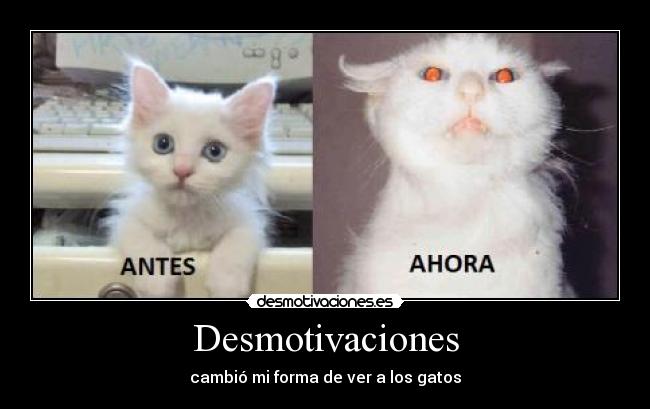 Desmotivaciones -