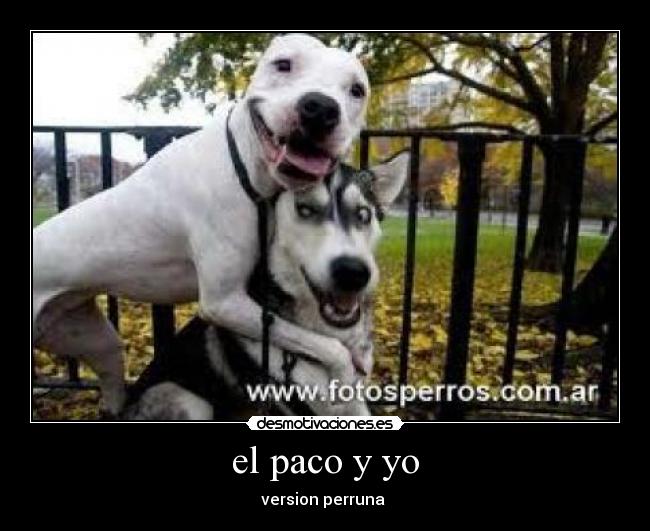 el paco y yo -