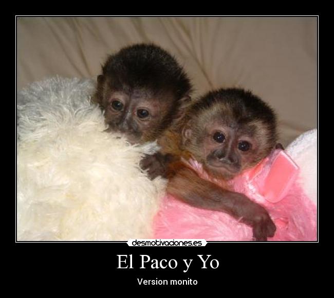 El Paco y Yo - Version monito