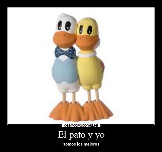 carteles jejeje desmotivaciones