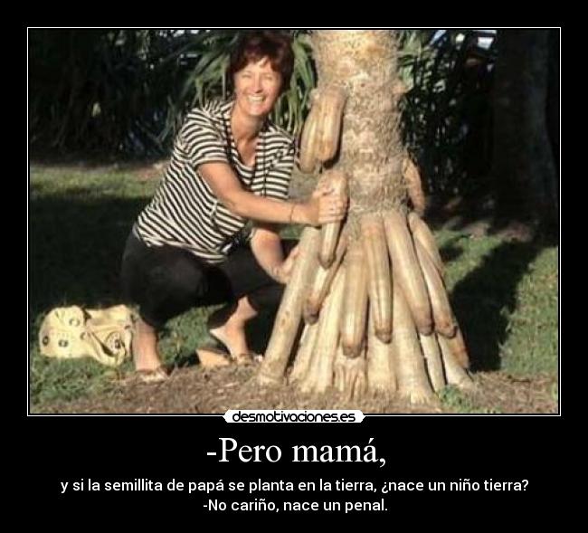 -Pero mamá, - y si la semillita de papá se planta en la tierra, ¿nace un niño tierra?
-No cariño, nace un penal.