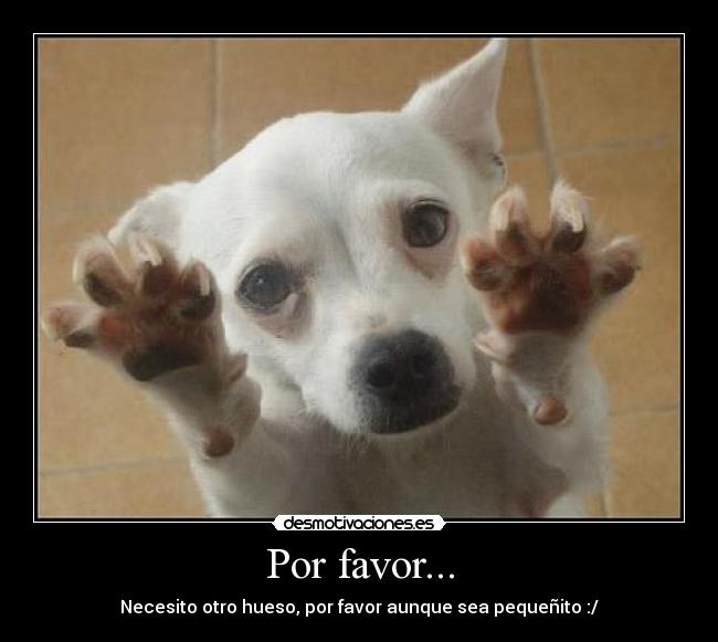Por favor... -