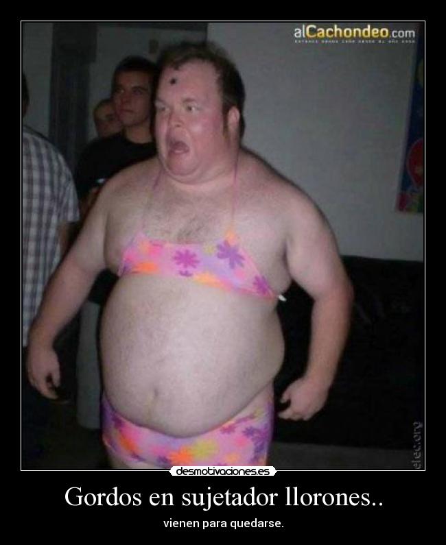Gordos en sujetador llorones.. - 
