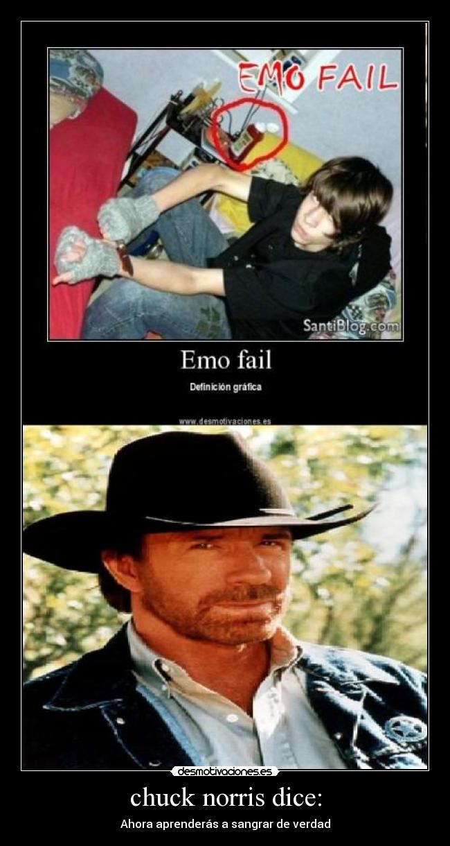 chuck norris dice: - Ahora aprenderás a sangrar de verdad