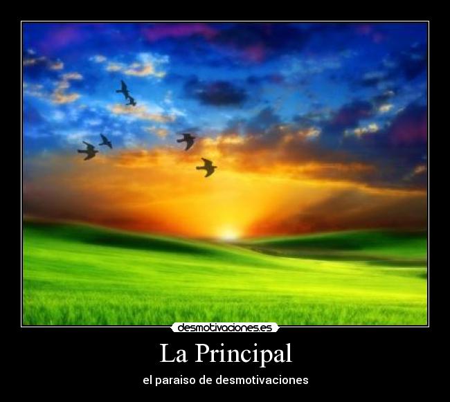 La Principal -