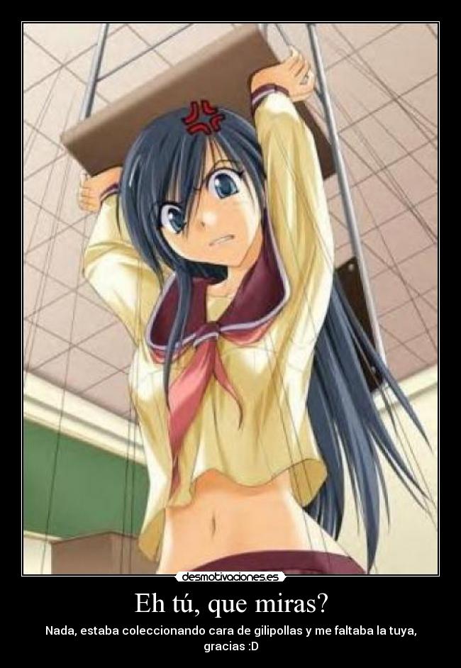 Eh tú, que miras? - Nada, estaba coleccionando cara de gilipollas y me faltaba la tuya, gracias :D