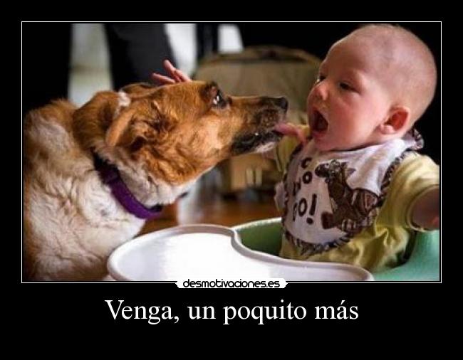 carteles criis desmotivaciones