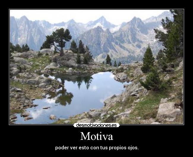 Motiva - 