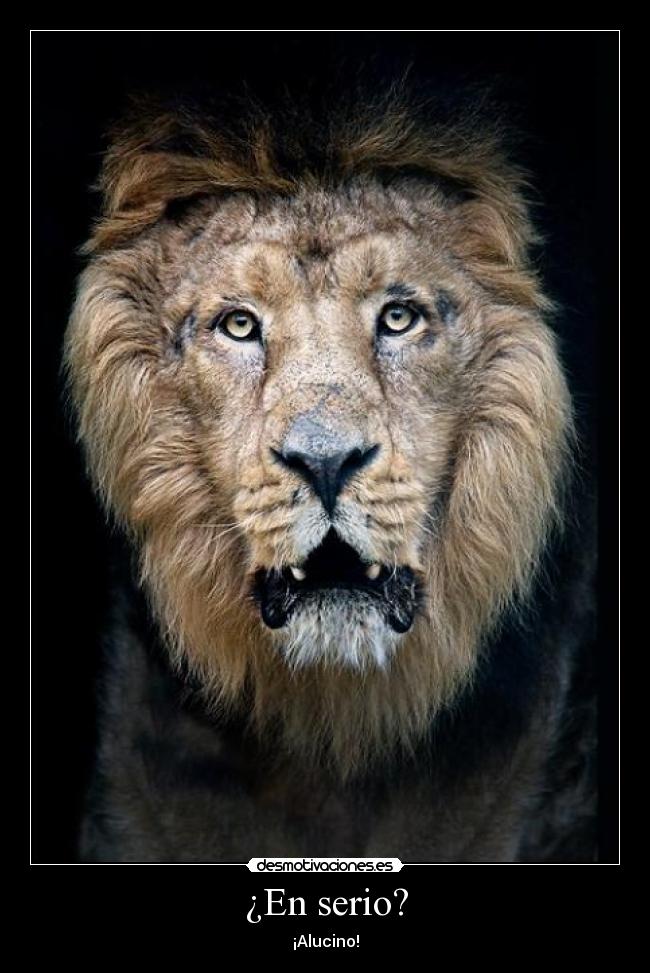 ¿En serio? - ¡Alucino!