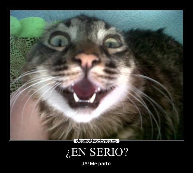 ¿EN SERIO? - 