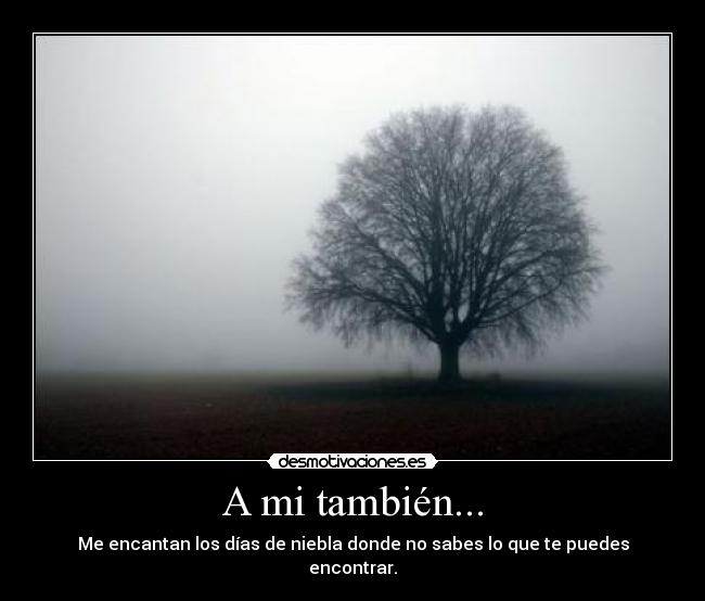 A mi también... -