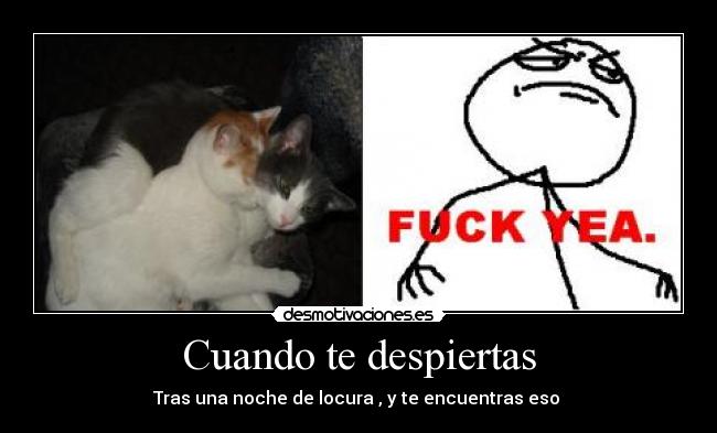 Cuando te despiertas - Tras una noche de locura , y te encuentras eso 