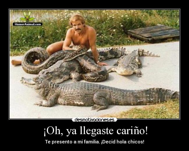 carteles presento familia cocodrilos serpientes desmotivaciones