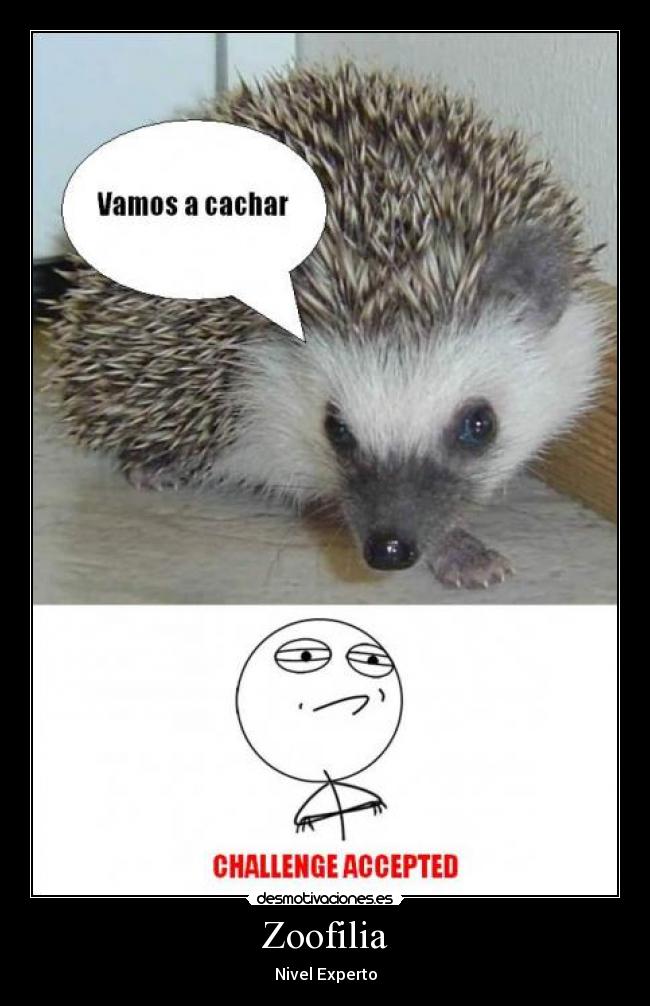 Zoofilia Desmotivaciones