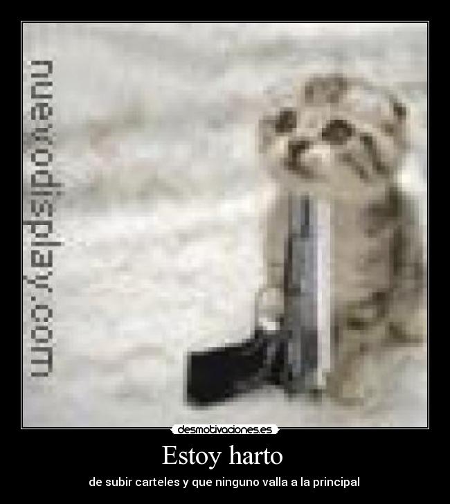 Estoy harto  - 