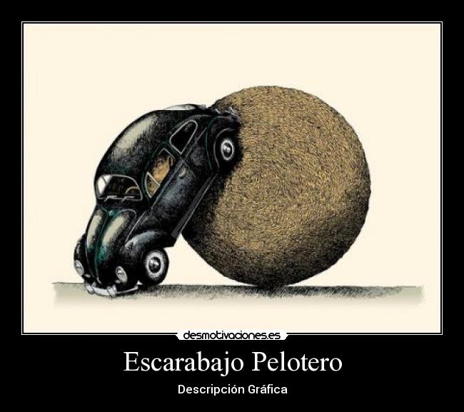 carteles escarabajo pelotero descripcion grafica robywan desmotivaciones