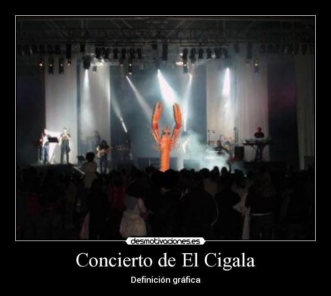 Concierto de El Cigala - Definición gráfica