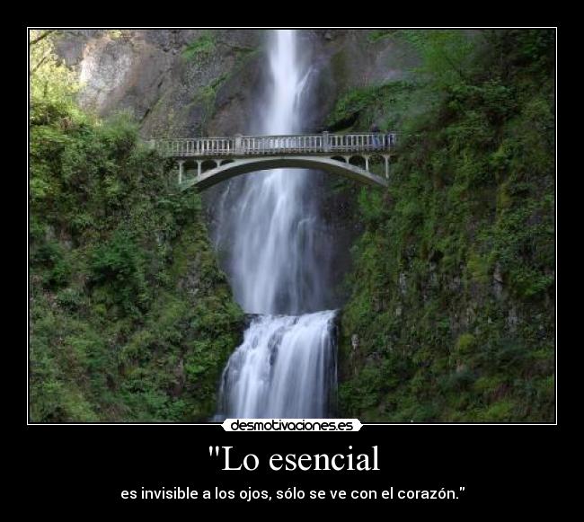 Lo esencial - 