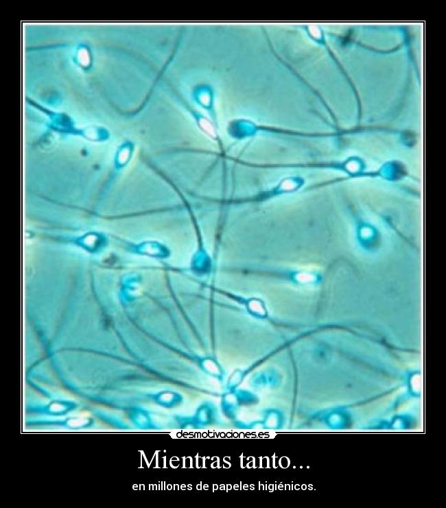 Mientras tanto... - en millones de papeles higiénicos.