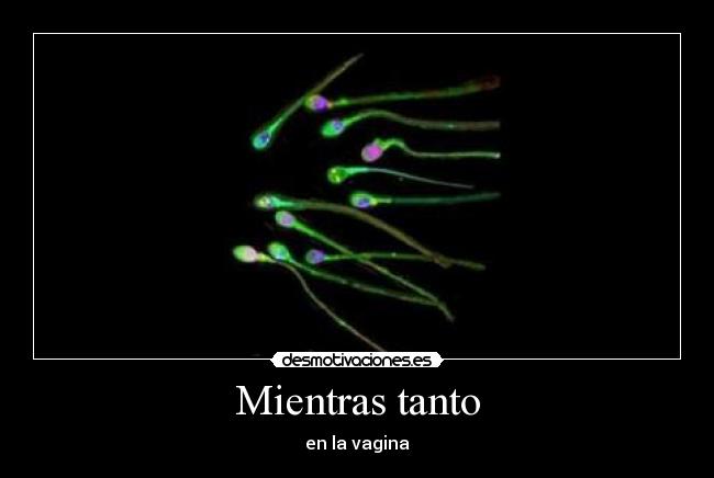 Mientras tanto - en la vagina