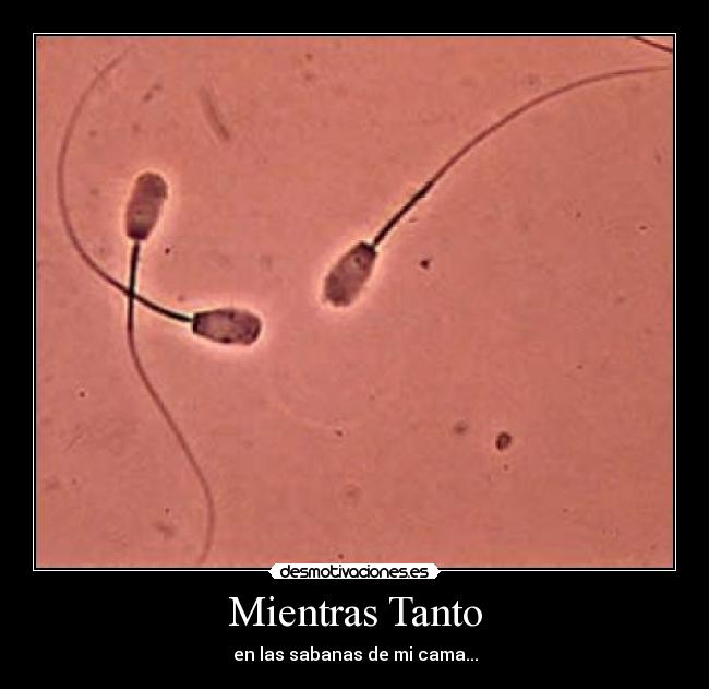 Mientras Tanto - en las sabanas de mi cama...