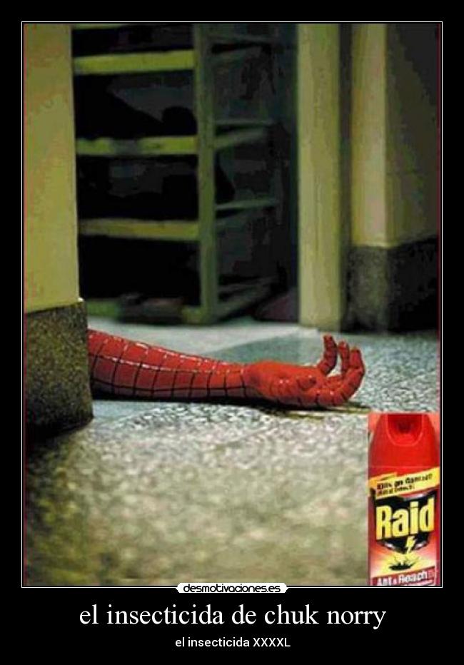 el insecticida de chuk norry - el insecticida XXXXL